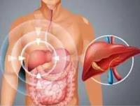 Best Liver Transplant Doctors in India image 1